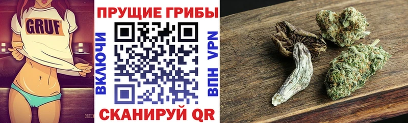 Псилоцибиновые грибы мухоморы  Северо-Курильск 